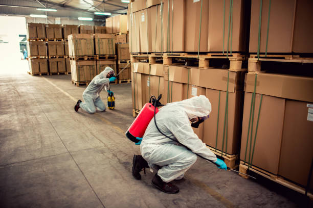 Best Best Pest Control Companies  in One Loudoun, VA