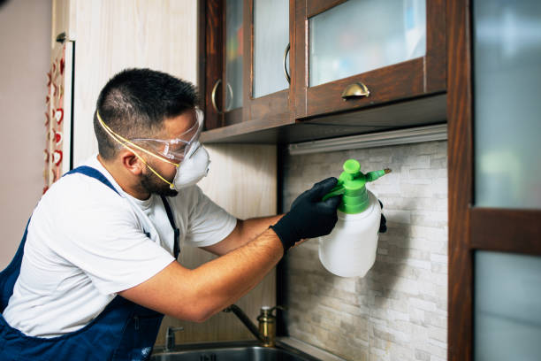 Best Affordable Pest Control Services  in One Loudoun, VA