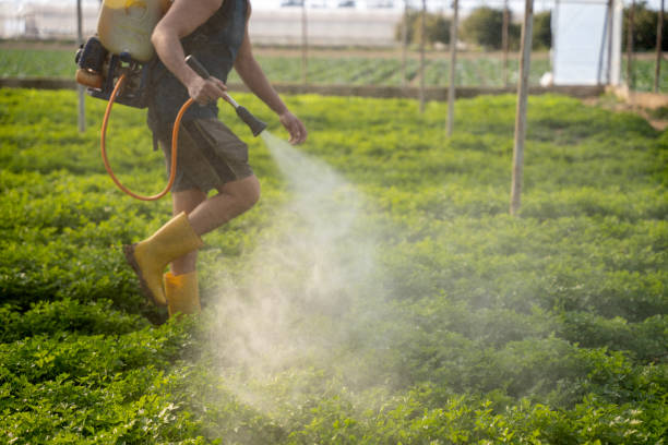 Best Commercial Pest Control Services  in One Loudoun, VA
